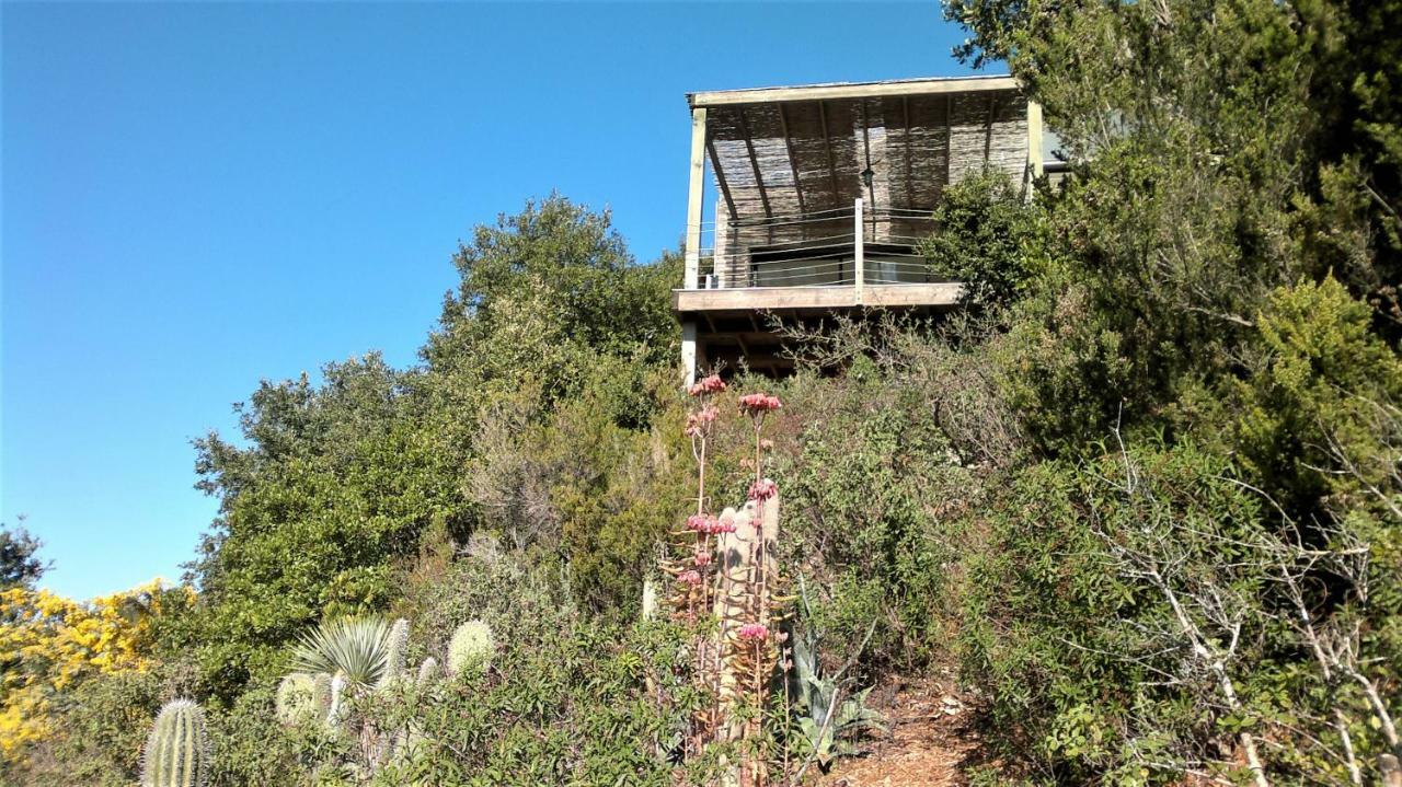 A Altezza Palombaggia Villa Porto-Vecchio  Dış mekan fotoğraf